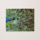 Puzzle Pacock (Horizontal)