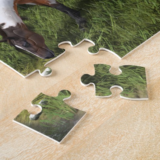 Puzzle Paint Horse by Forest Stream (Côté)