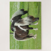 Puzzle Paint Ponts Purebred Shetland (Vertical)