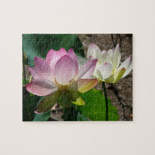 Puzzle Pair de Lotus