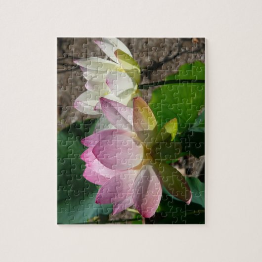 Puzzle Pair de Lotus (Vertical)
