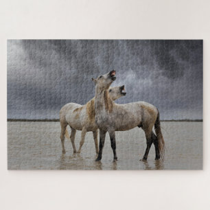 Puzzle Pair of Camargue Horse Stallions, Southern France