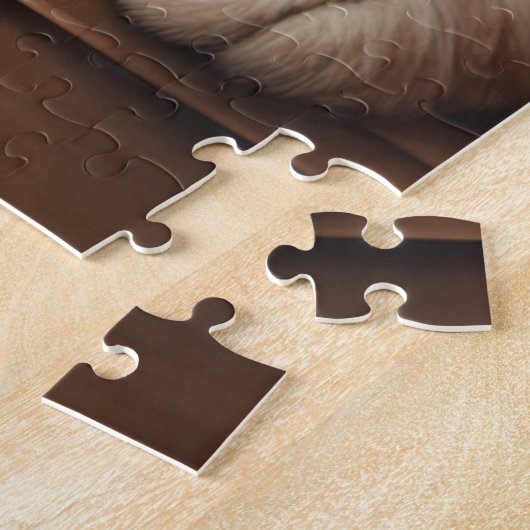 Puzzle Paire adorable de Ragdoll Kittens Chat doux (Côté)