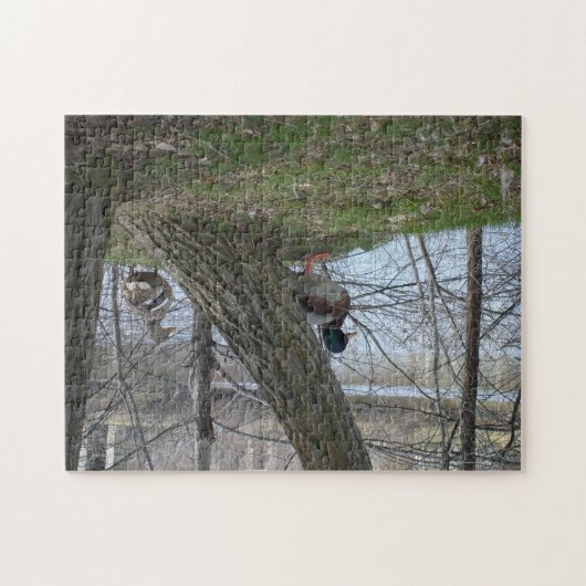 Puzzle paire de canards colverts (Horizontal)