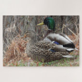 Puzzle Paire de Canards Majards (Horizontal)