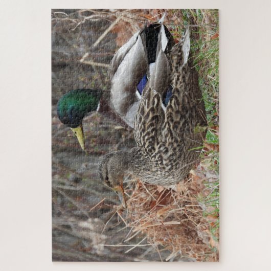 Puzzle Paire de Canards Majards (Vertical)