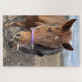 Puzzle Paire de cheval (Horizontal)