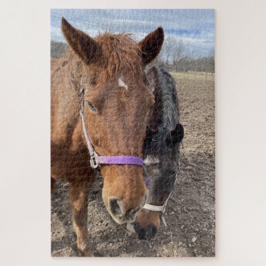 Puzzle Paire de cheval (Vertical)