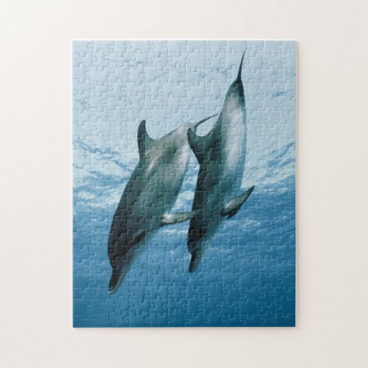 Puzzle Paire de dauphins (Vertical)