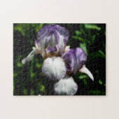 Puzzle Paire De Fleur Iris À Peau Violet Et Blanc (Horizontal)