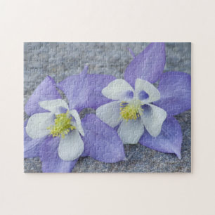 Puzzle Paire de fleurs Columbine