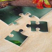 Puzzle Paire de l'oeil rouge, Agalychinis callidryas, (Côté)