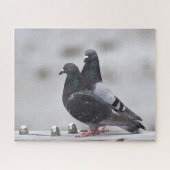 Puzzle Paire de pigeons (Horizontal)
