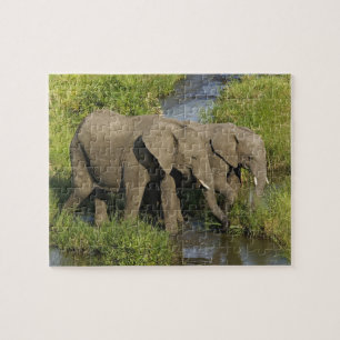 Puzzle Paire d'éléphants d'Afrique Masai Mara