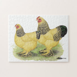 Puzzle Paires de couleur chamois de Brahma