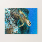 Puzzle Paires de tortue (Horizontal)