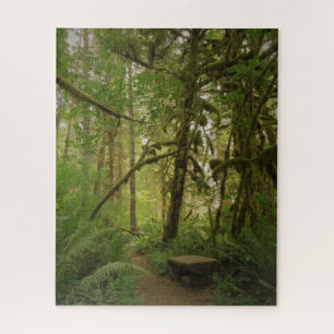 Puzzle Paisible Green Forest Trail Washington