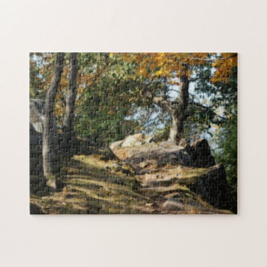 Puzzle Paisible sentier forestier Nature Effet Orton (Horizontal)