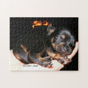 Puzzle Paisley Marie 1