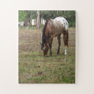 Puzzle Palamino Horse