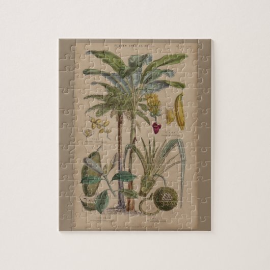 Puzzle Palm Antique Fruit Tropical Art Botanique (Vertical)