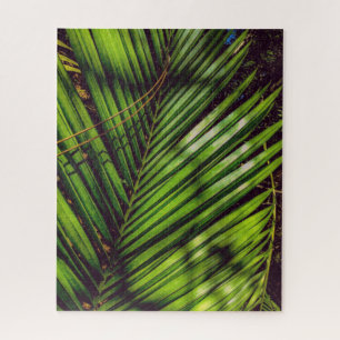Puzzle Palm Frond, aiguilles de pin et ombres