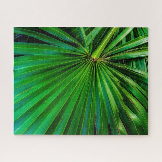 Puzzle Palmetto Fan (Horizontal)