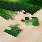 Puzzle Palmetto Fan (Côté)