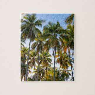 Puzzle Palmiers et ciel de plage exotique hawaïen