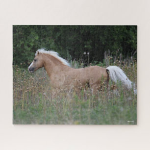 Puzzle Palomino Gallois Pony Courant En Longue Herbe