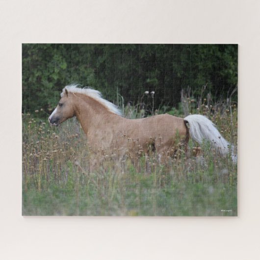 Puzzle Palomino Gallois Pony Courant En Longue Herbe (Horizontal)