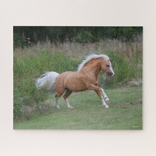 Puzzle Palomino Gallois Pony Stallion Courant (Horizontal)