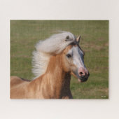 Puzzle Palomino Welsh Pony Headhot Mane Flow (Horizontal)