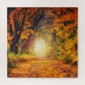 Puzzle Panache solaire de la forêt automnale 20" x 20" (Horizontal)