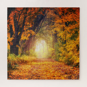 Puzzle Panache solaire de la forêt automnale 20" x 20"