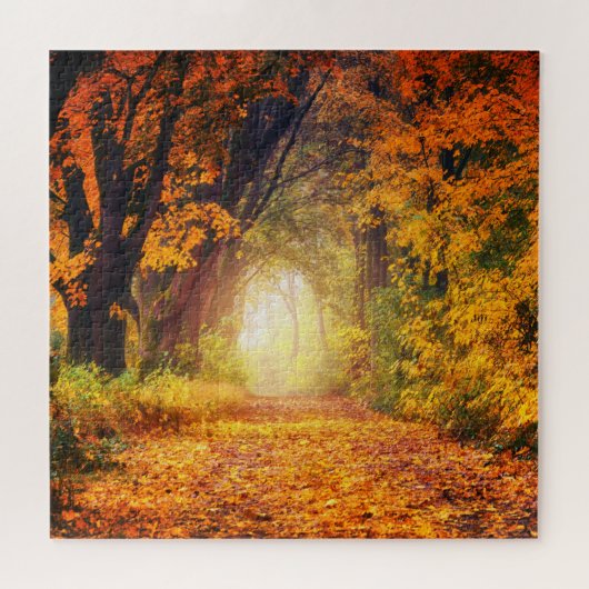 Puzzle Panache solaire de la forêt automnale 20" x 20" (Horizontal)