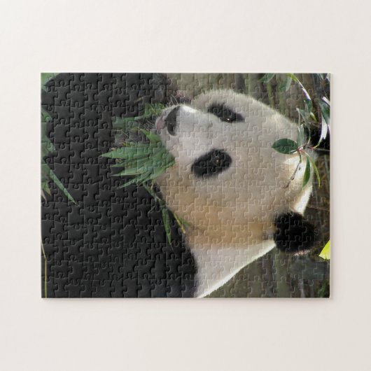 Puzzle Panda (Horizontal)