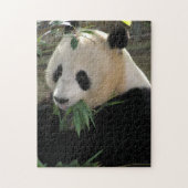 Puzzle Panda (Vertical)