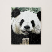 Puzzle Panda (Vertical)