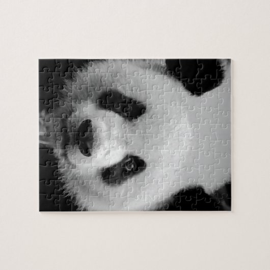 Puzzle Panda (Horizontal)