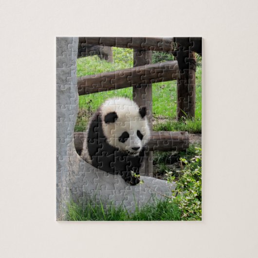 Puzzle Panda bébé (Vertical)