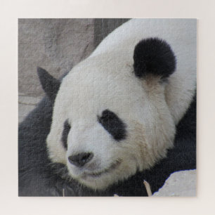 Puzzle panda géant