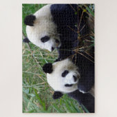 Puzzle Panda géant - Amour & Bambou /Ours de Chine (Vertical)