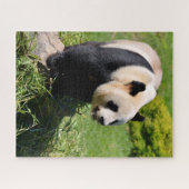 Puzzle Panda géant debout sur une pierre (Horizontal)