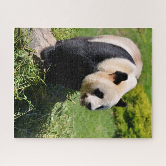 Puzzle Panda géant debout sur une pierre (Horizontal)