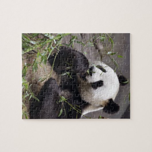 Puzzle Panda géant mangeant du bambou (Horizontal)