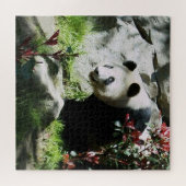 Puzzle Panda Ours Sourire (Horizontal)