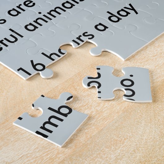 Puzzle Panda porte des faits (Côté)