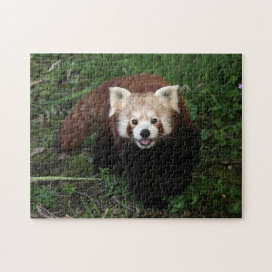 puzzle - panda rouge (Horizontal)