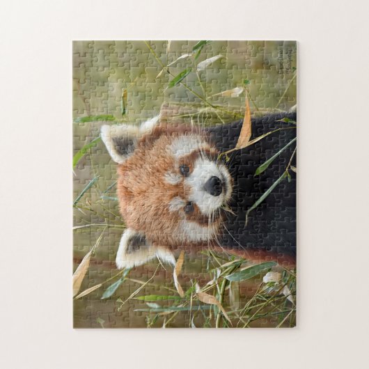 Puzzle Panda rouge  (Vertical)